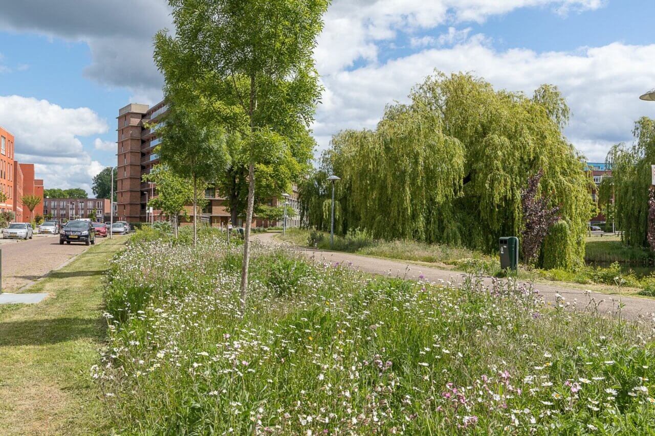 eijkelboom-utrecht-groen-en-recreatie-Gemeente-Utrecht-bloemenlint-2018-1-2000x1333